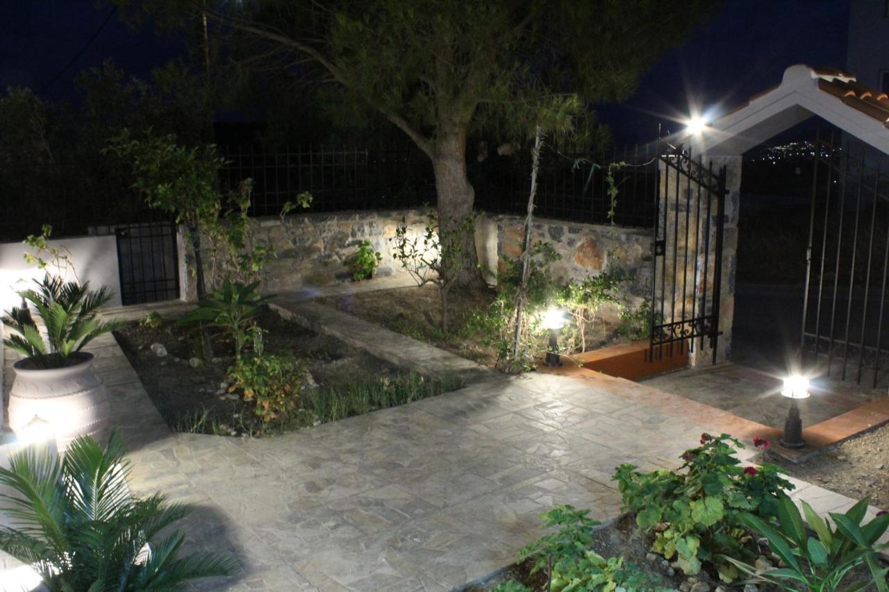 Villa Carmine Olive