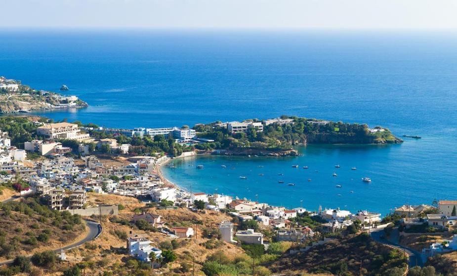 Villa Carmine Olive Agia Pelagia (Crete)
