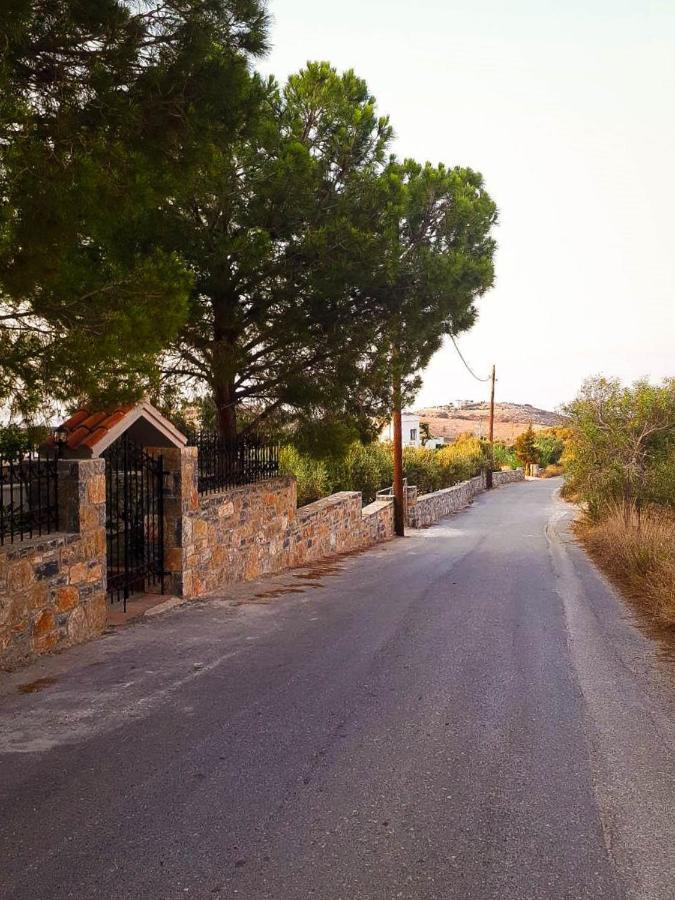 Carmine Olive Villa Agia Pelagia (Crete)